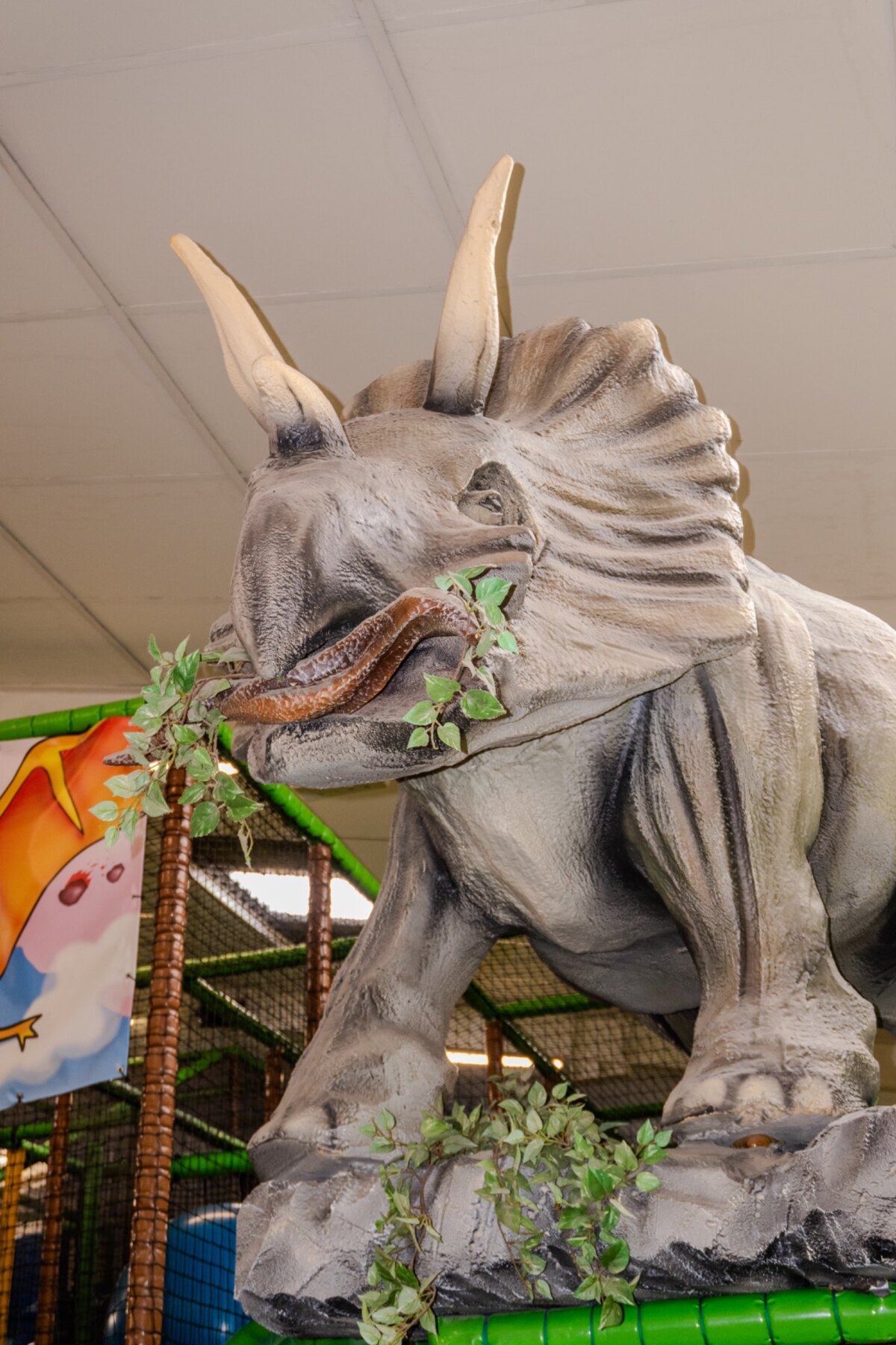 Tricératops dans le décor de la Zone Dino